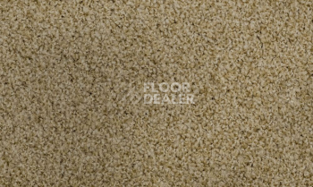 Ковролин Vorwerk Exclusive1009/Elara 8g82 фото 1 | FLOORDEALER